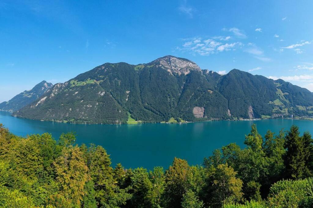 Exklusives Chalet Mit Traumhafter See- Und Bergsicht Seelisberg Buitenkant foto
